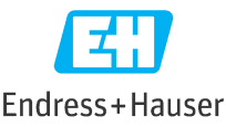 Endress+Hauser, Германия